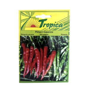 Piment Cayenne