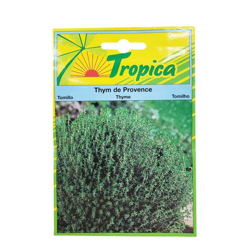 Thym De Province