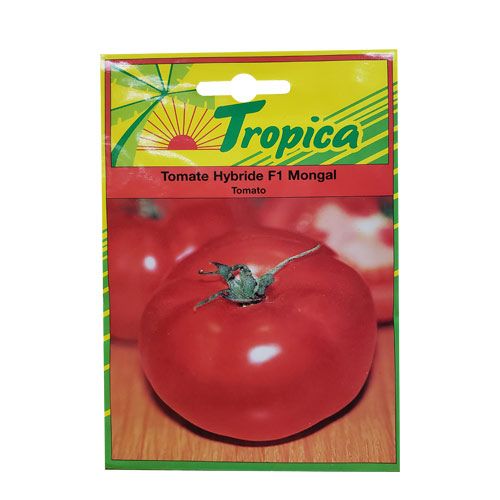 Tomate Mongal