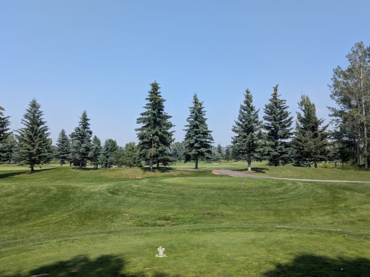 A great experience in SW Calgary 1