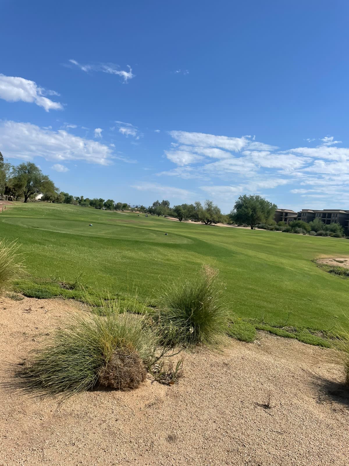 A Great Scottsdale Experience! 2