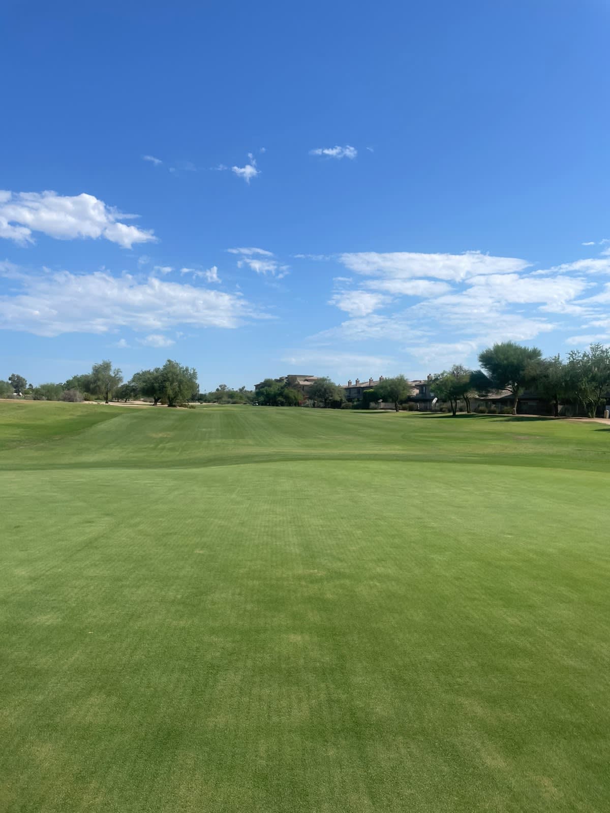 A Great Scottsdale Experience! 3