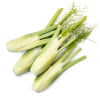 Original city produce baby fennel bulb