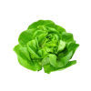 Original city produce butterhead lettuce each