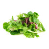 Mesclun salad leaves