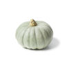 Original city produce whole pumpkin