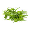 Original city produce tarragon