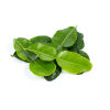 City produce kaffir lime leaves 1601451765