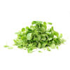 City produce micro watercress 1601451936