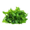 City produce mint 1601451941