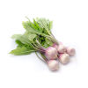 City produce baby turnips 1601452319