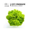 City produce lollo biondi each 1631573970