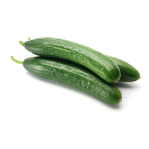 Original city produce lebanese cucumbers