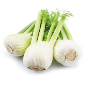 Original city produce fennel bulb