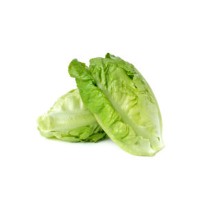 Original city produce lettuce baby cos