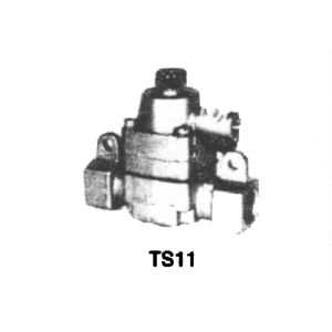 Ts 11