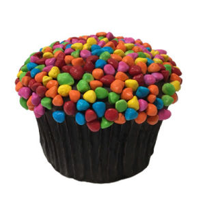 Yaels large rainbow cupcake