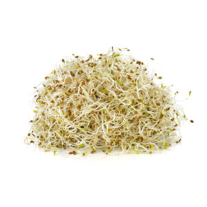 City produce alfalfa sprouts 1601451289