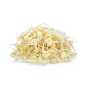 City produce bean sprouts 1601451341