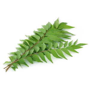 City produce curry leaves 1601451619