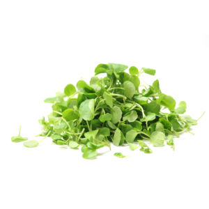 City produce micro watercress 1601451936