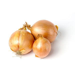 City produce brown onions 1601451994