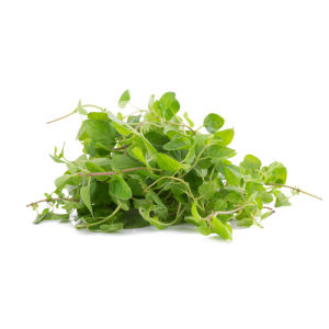 City produce oregano 1601452036