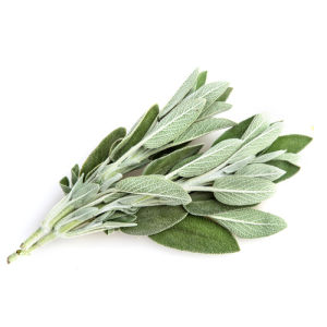 City produce sage 1601452254