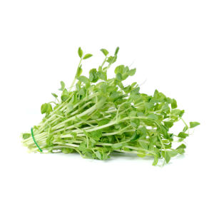 City produce snow pea shoots 1601452266