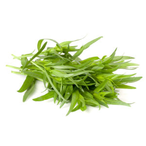 City produce tarragon 1601452301