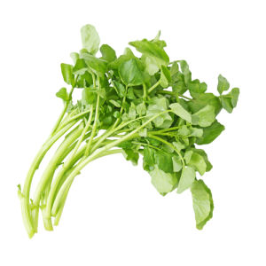 City produce watercress 1601452346