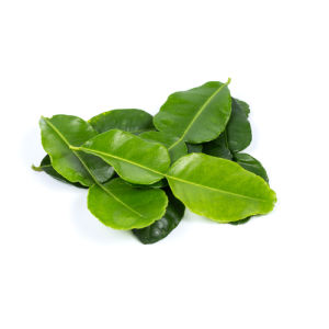 Original city produce kaffir lime leaves 1664669976