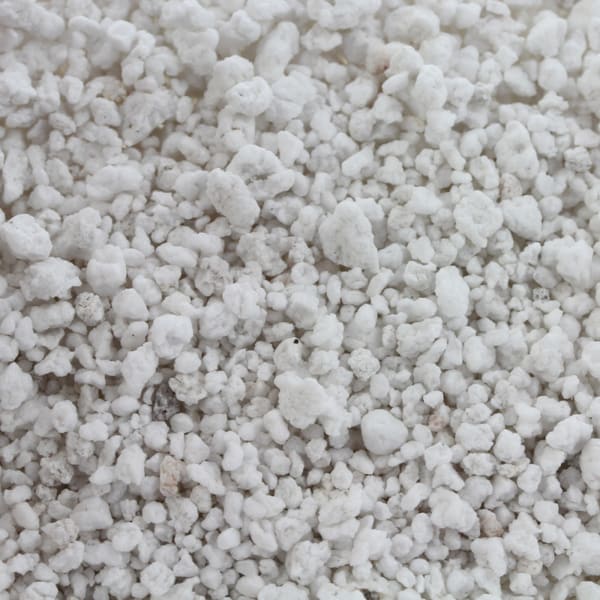 Perlite 3L Poly bag (Specialty Substrates) Jurassic Pet Products