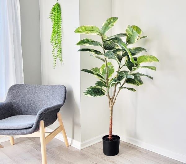 Artificial Rubber Plant in Pot 60" H (Thick Real Touch Leaf), Green