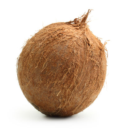 Original city produce coconut