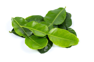 Original city produce kaffir lime leaves