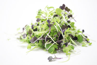 Original city produce microgreens rocket