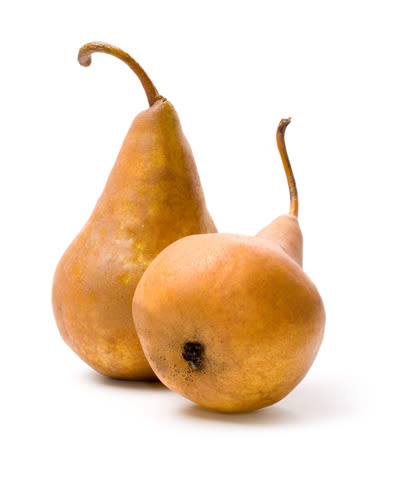 Original city produce brown pears