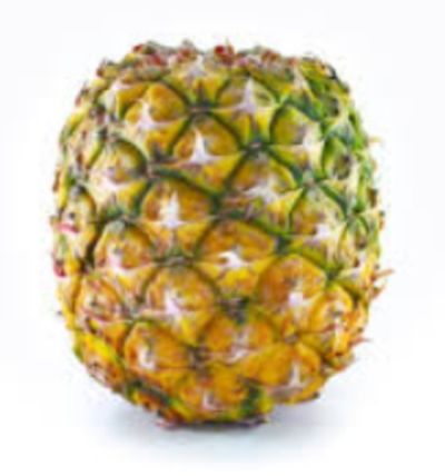 Topless pineapple 1331381