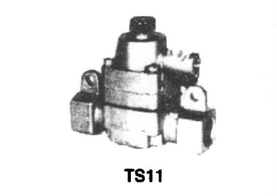 Ts 11