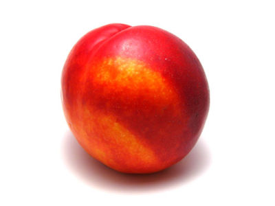 Nectarine 1585280976