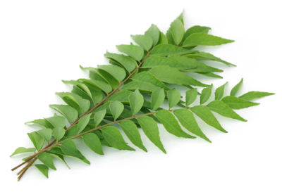 City produce curry leaves 1601451619