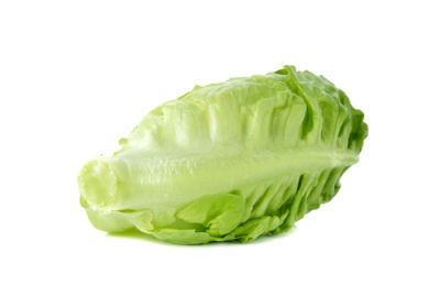 City produce lettuce baby cos each 1601451883