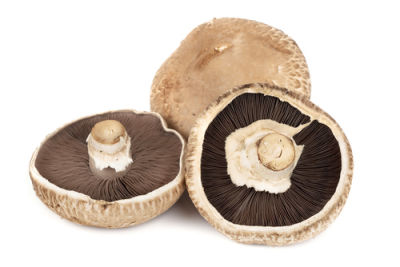 City produce portobello mushrooms 1601451968