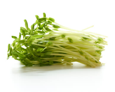 Pea sprouts  00234 1601452265