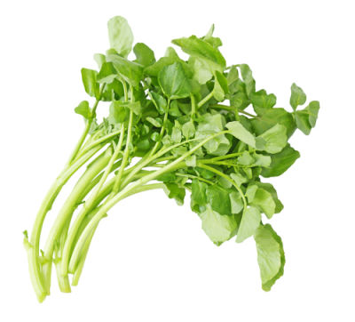 City produce watercress 1601452346