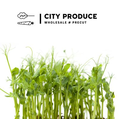 City produce pea tendrils 1631579402