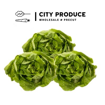 City produce butterhead lettuce 1632856932