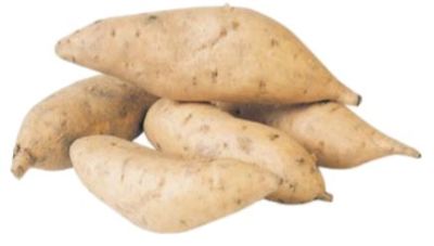 City produce kumara gold 1790034213