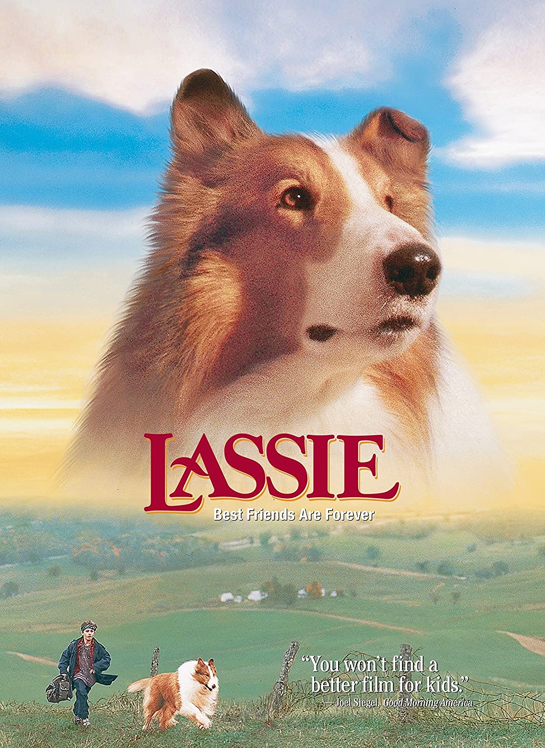 Lassie Dvd Paramount Your Entertainment Source